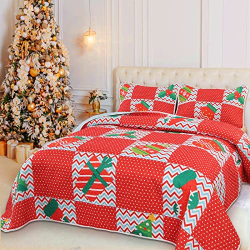 Qucover Tagesdecke Weihnachten 260x240cm Patchworkdecke aus Polyester Große Bettüberwurf für Doppelbett mit Weihnachtlichem Muster inklusive Kissenbezüge Rot & Hellblau